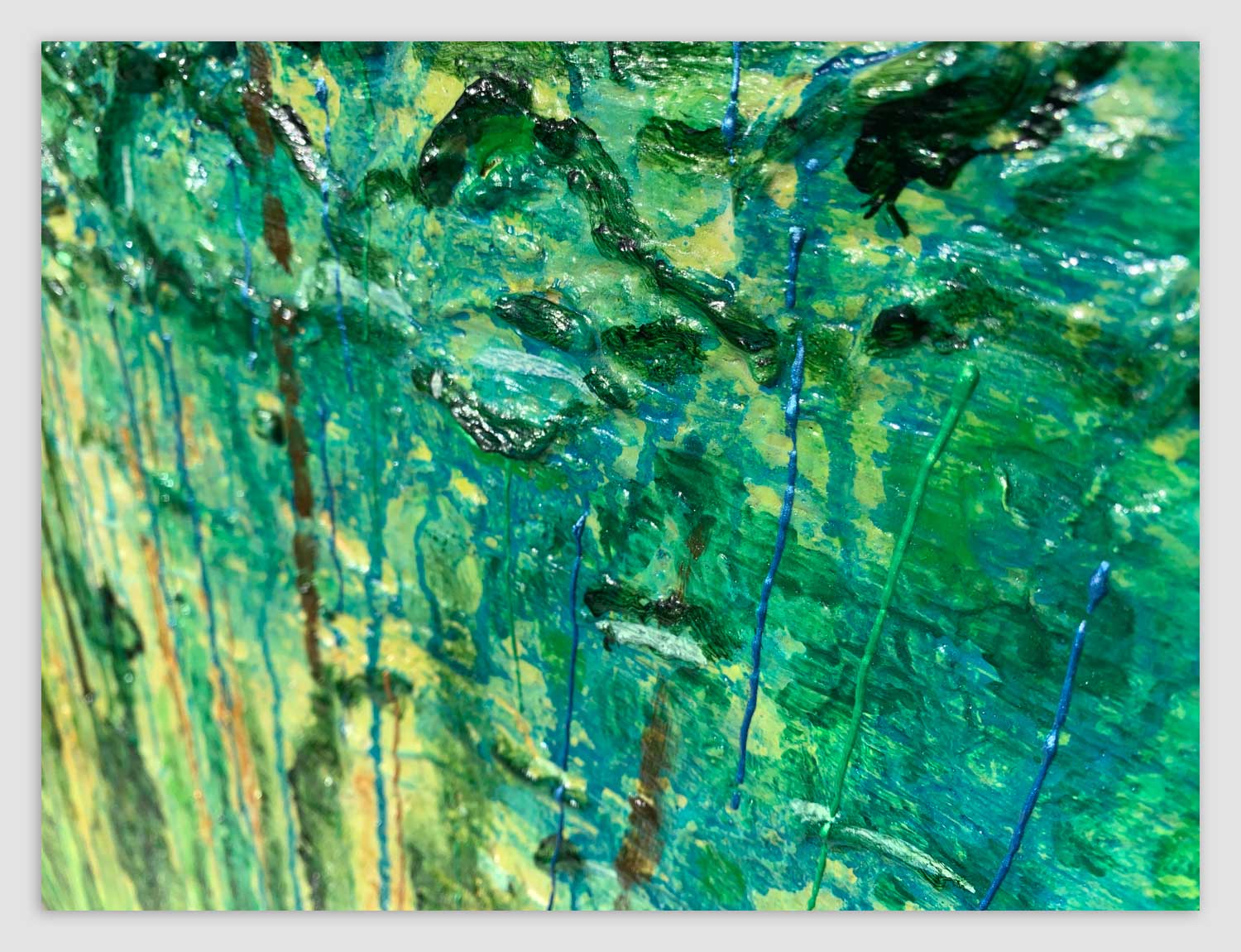 rainforest img-0327-detail-gallery