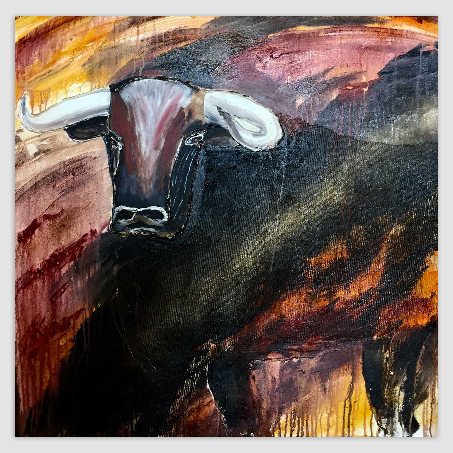 stier img-0759-gallery