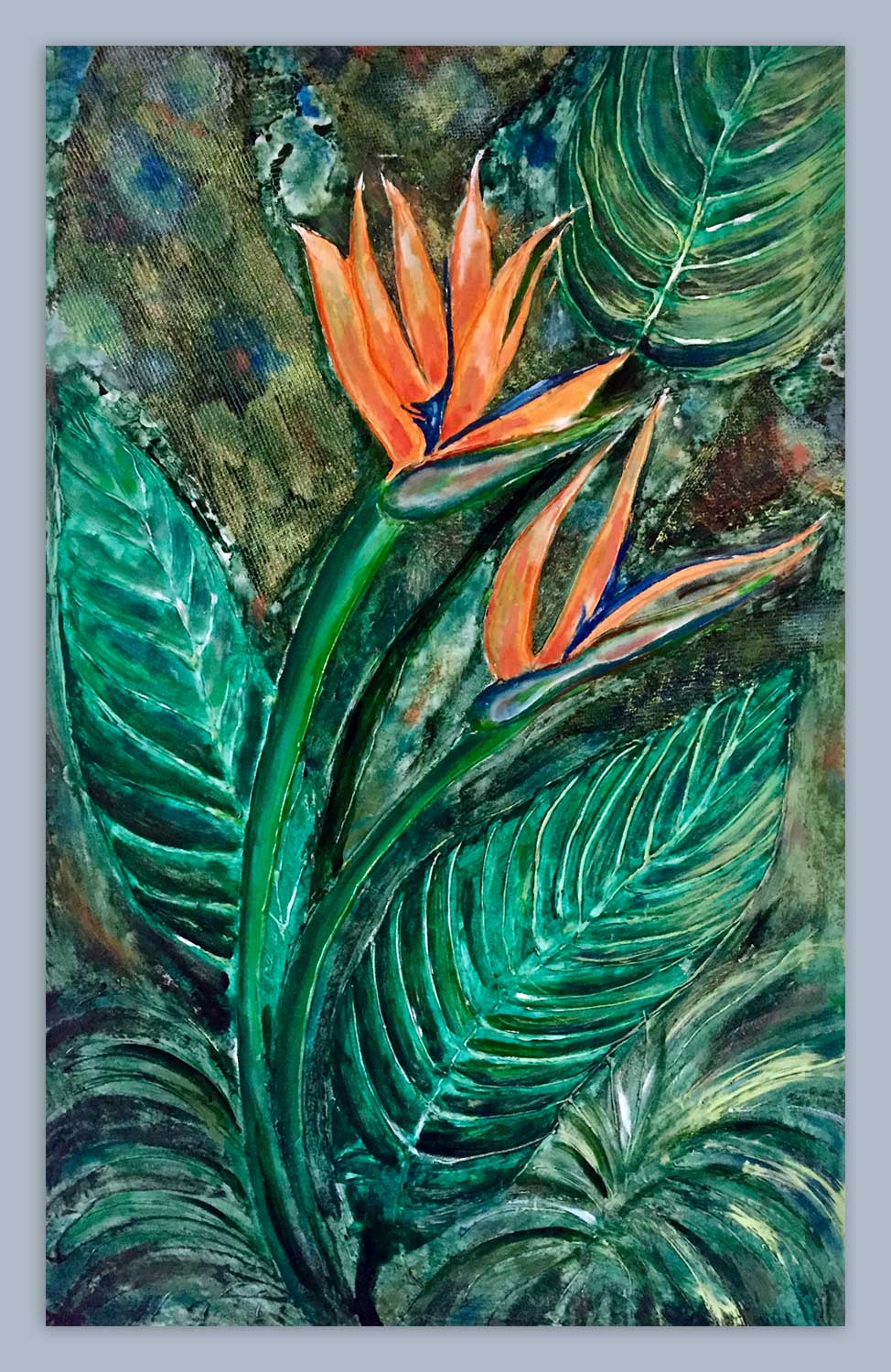 strelizie img-0497-gallery